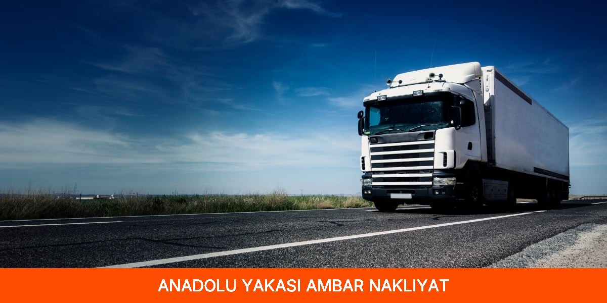 Anadolu Yakası Ambar Nakliyat