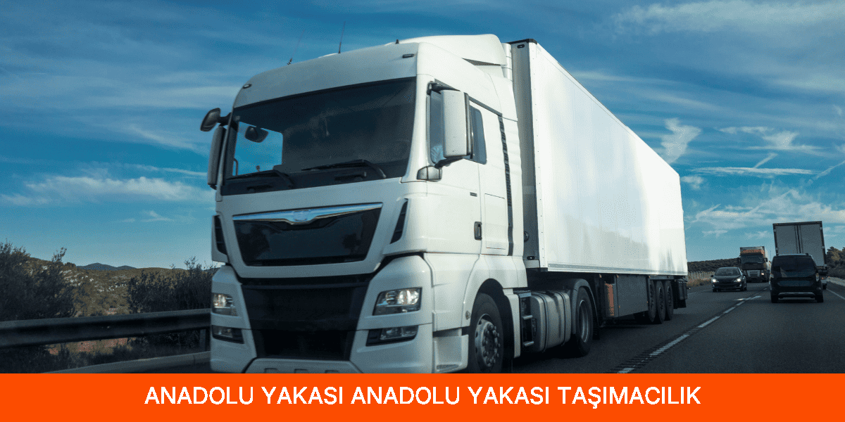 Anadolu Yakası Taşımacılık