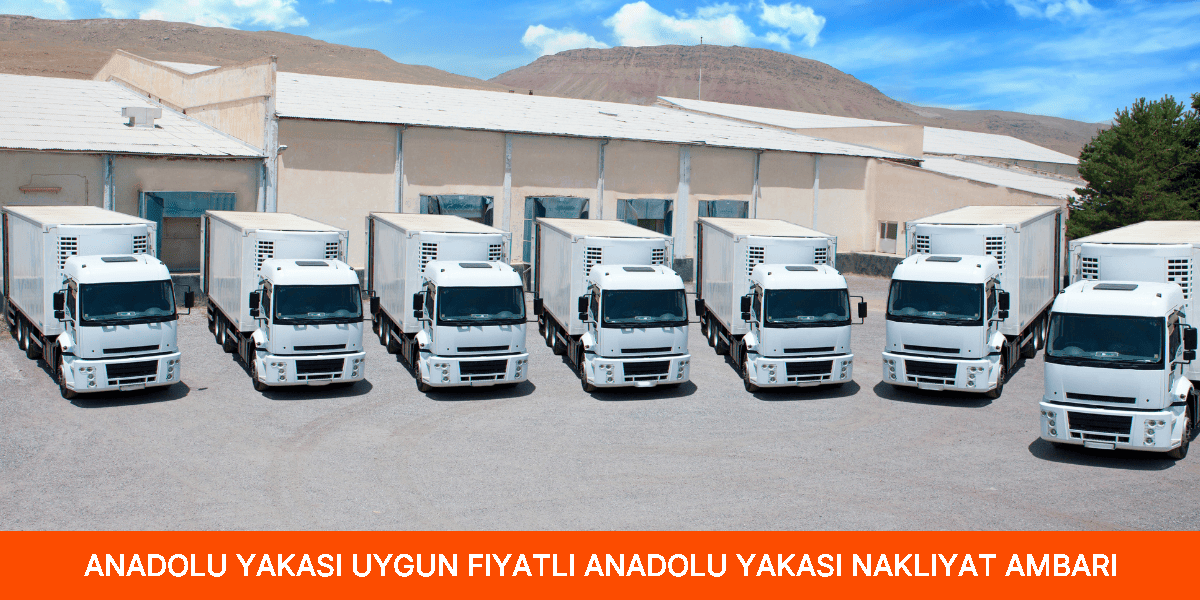 Uygun Fiyatlı Anadolu Yakası Nakliyat Ambarı